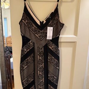 Elegant Black and Cream Lace Dress